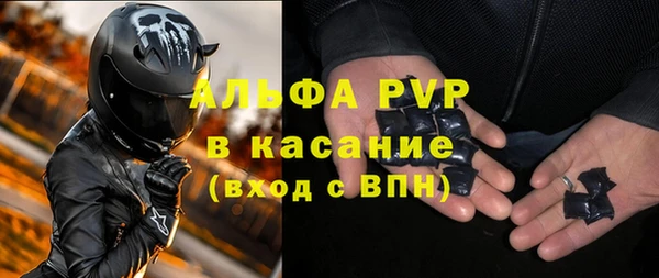 индика Богданович