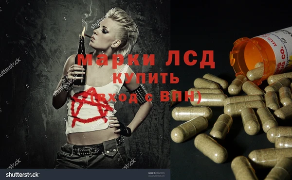 индика Богданович
