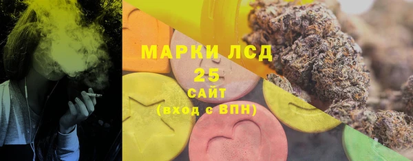 индика Богданович